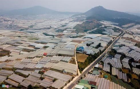 Greenhouse expansion damages Da Lat’s environment