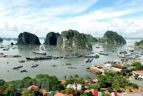 Ha Long-Cat Ba Alliance helps enhance efficiency of heritage management