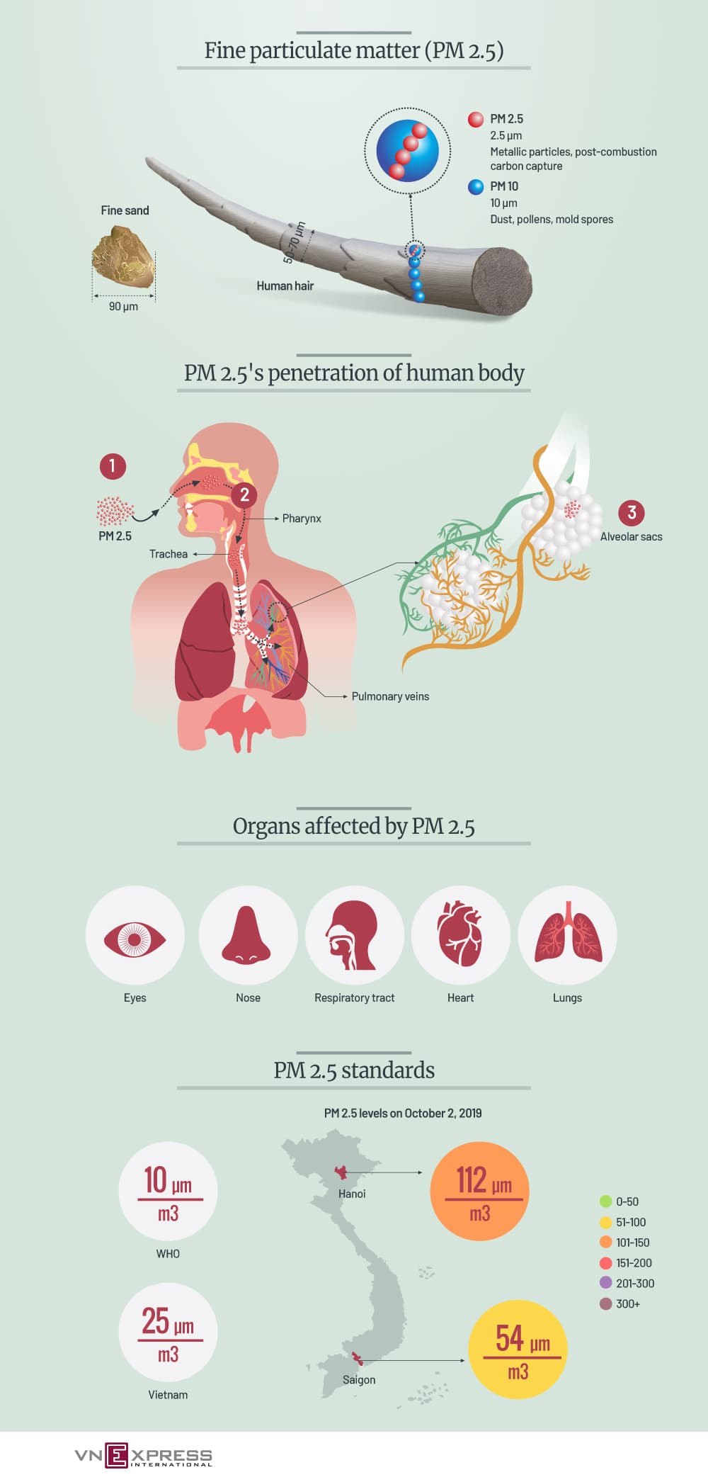 How air pollution particles travel through human body