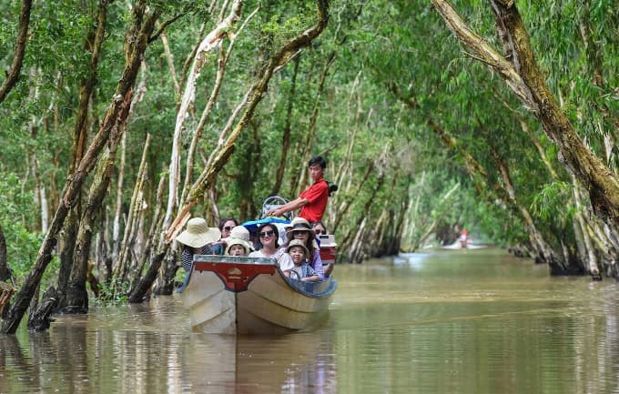 Get into the flow in a Mekong Delta cajuput forest