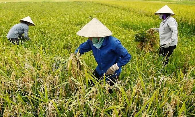 Slowing exports could prove a drag on Vietnam economy