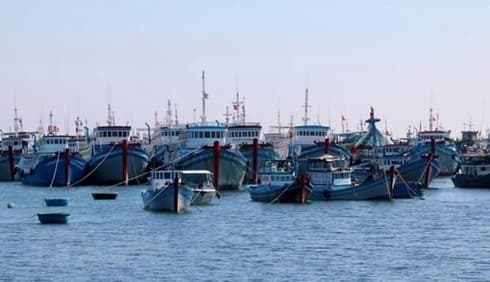 Ocean accounting helps study sea’s value: workshop