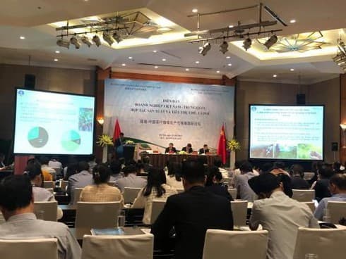 Vietnam, China cooperate in tea, coffee production