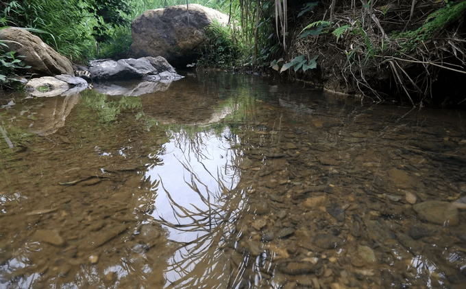 Blackish, pungent water still flowing into Hanoi utility company