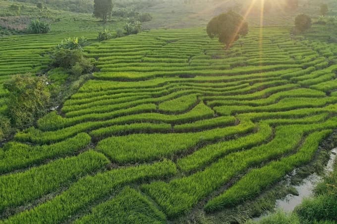 Central Highlands staircase fields from a bird’s eye view