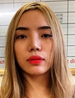 Vietnamese woman arrested for smuggling drugs to South Korea