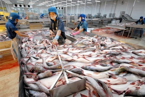 Vietnamese catfish exporters struggle to compete with rivals