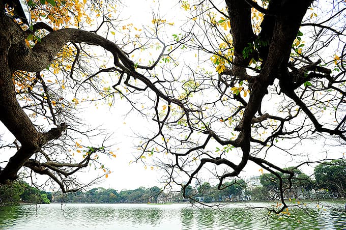 Five compelling reasons to visit Vietnam in October