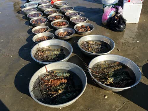 In central Vietnam village, fresh seafood is sold by the basin