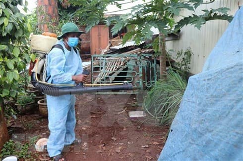 Hanoi strives to control dengue fever by November