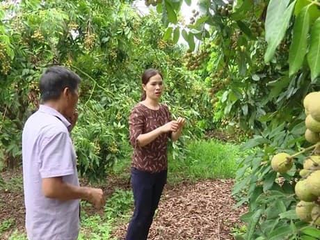 Son La, Laos’ Oudomxay province exchange experience in veteran affairs