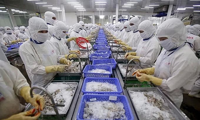 US reduces anti-dumping duties on Vietnamese pangasius