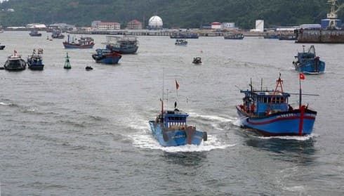 Vietnam strives to have yellow card on IUU fishing removed