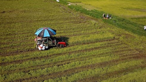 Land policies restrain Vietnam’s agricultural development