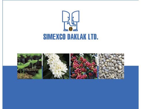 Three businesses in Dak Lak recognised as prestigious exporters in 2018