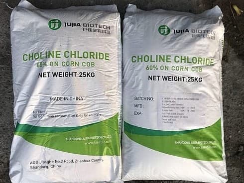 India initiates investigation on imports of choline chloride