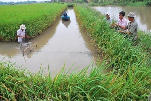 Mekong Connect 2019 to be held in Can Tho in November
