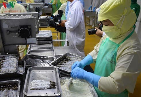 Taiwan emerges as largest consumer of Vietnamese shrimp