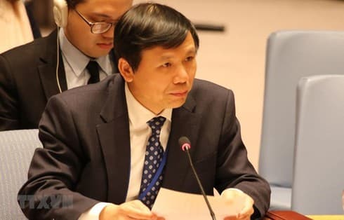 Vietnam backs international legal processes: ambassador
