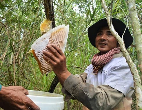 Ca Mau promotes key agricultural products
