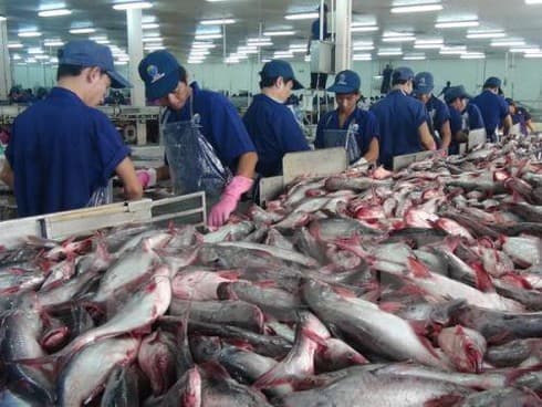 Vietnam to face tough competition from India in tra fish exports