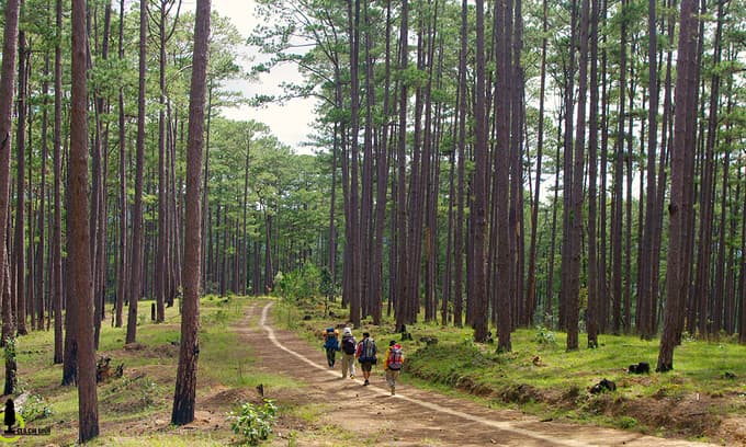Four more Vietnamese sites recognized as ASEAN heritage parks