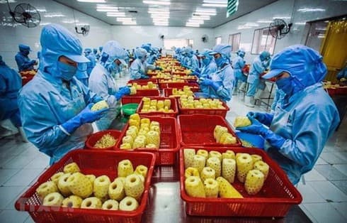 Vietnam’s export turnover surges 7.4 percent in 10 months