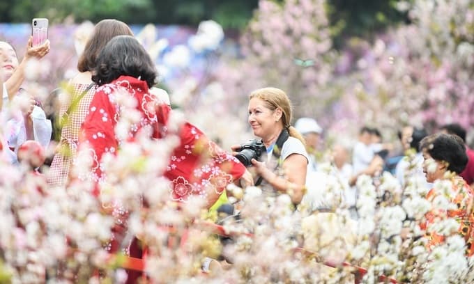 Japan’s Kanagawa prefecture to treat Hanoi to a culture fest