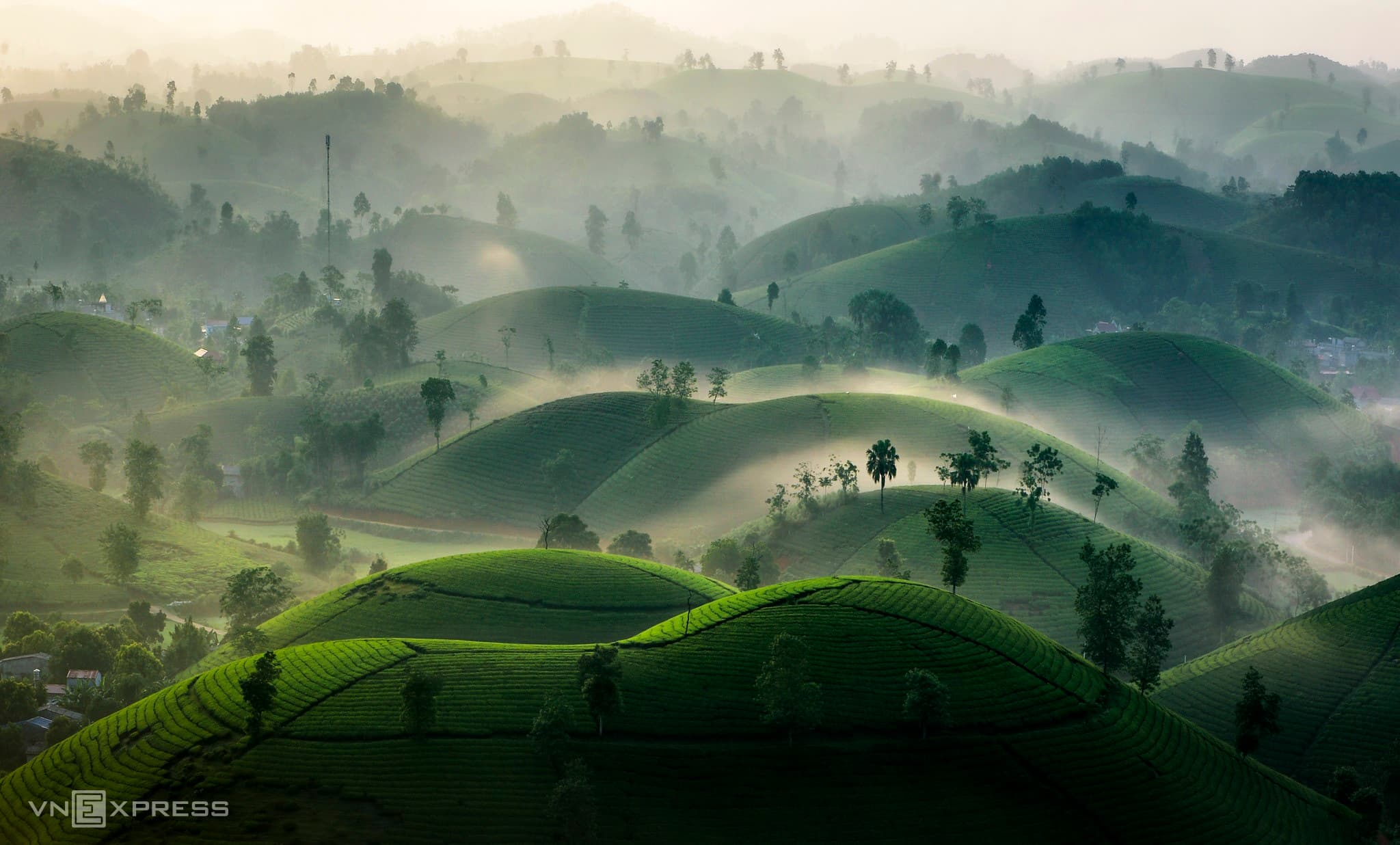 Long Coc tea hills turn lovelier as season change brings mist