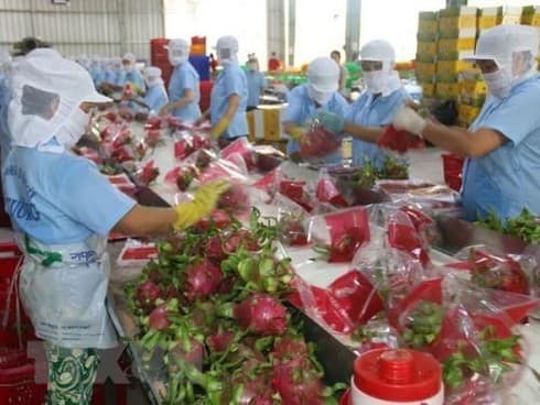 Mekong – Lancang Business Forum 2019 focuses on agribusiness