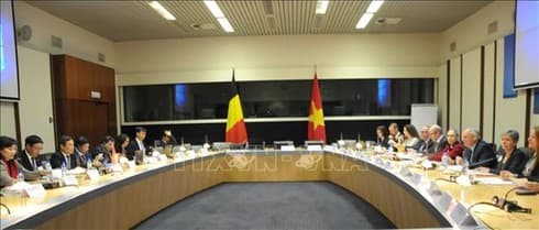Vietnam, Belgium boost economic collaboration