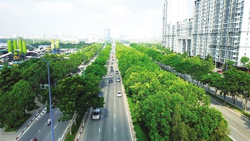 Limited supply causing price hikes around HCM City
