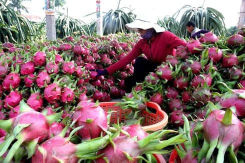 Vietnam, Italy promote economic cooperation