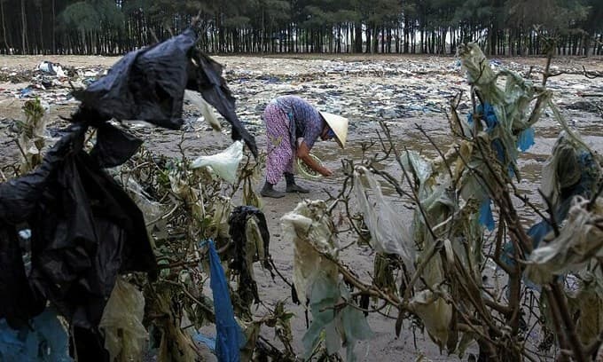 Southeast Asian countries need tougher plastic policies to curb pollution: UN