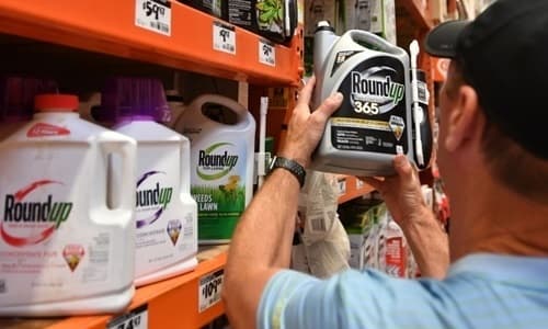 Monsanto pleads guilty to using banned pesticide on research crop
