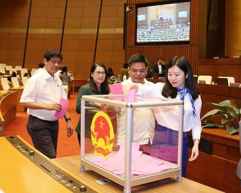 Legislators make decisions on three draft laws, personnel work