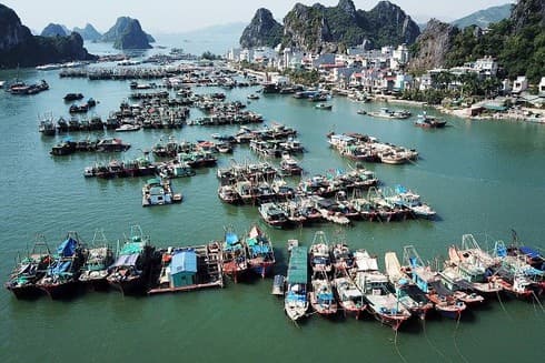Van Don economic zone management board established