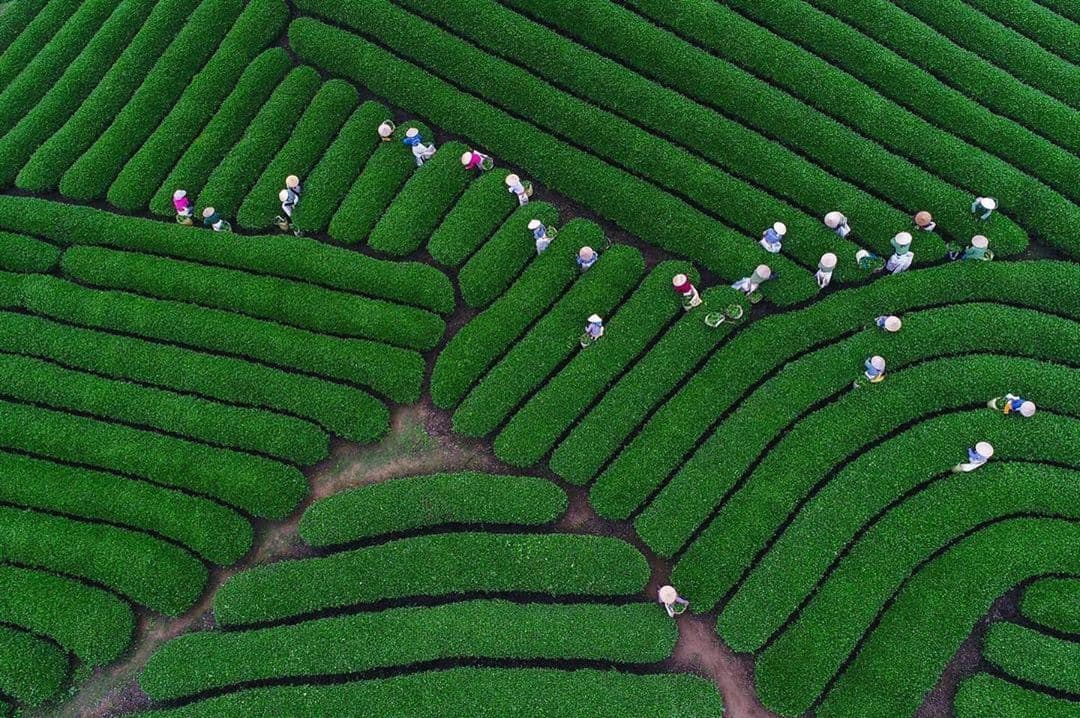 Vietnamese photographers turn NatGeo page turners