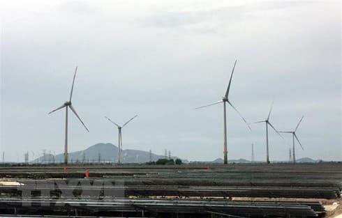 Bidding for electricity projects promotes transparency: experts