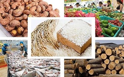 Agricultural sector enjoys trade surplus of US$8.8 billion in January-November