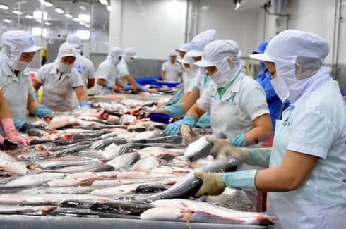 Aquatic export revenue likely to miss 2019 target