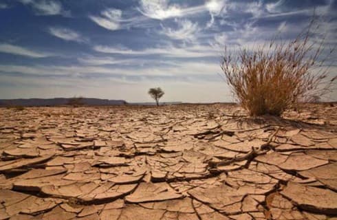 Vietnam ranks sixth in Global Climate Risk Index