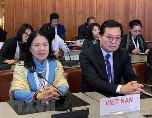 Vietnam active at 33rd conference of Red Cross & Red Crescent