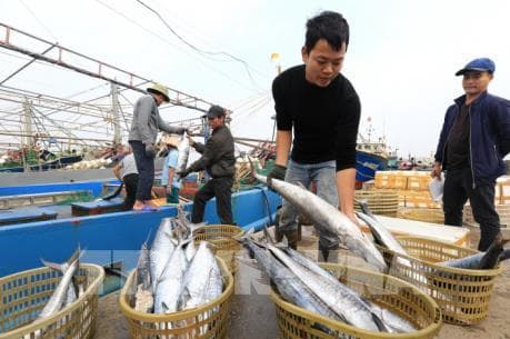 Gov’t determines to end illegal fishing within next six months