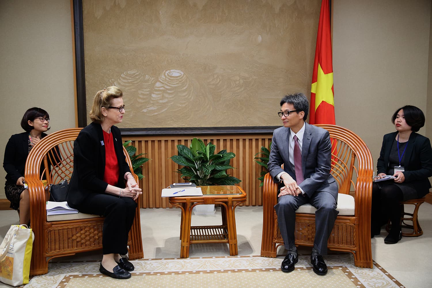 VN asks UNDP to support key priorities at UNSC