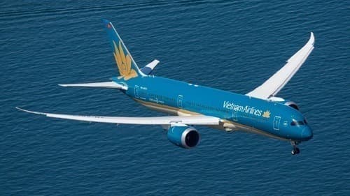 Vietnamese carriers flying to US will face fierce competition: aviation officials