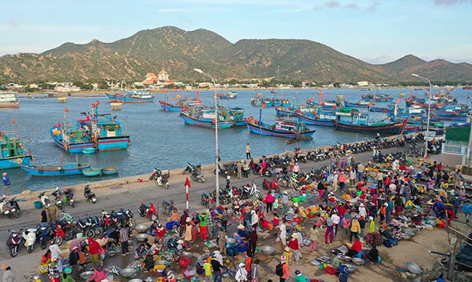 Central Vietnam market presents seafood treasures
