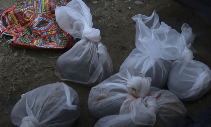 9 live pangolins spared in central Vietnam