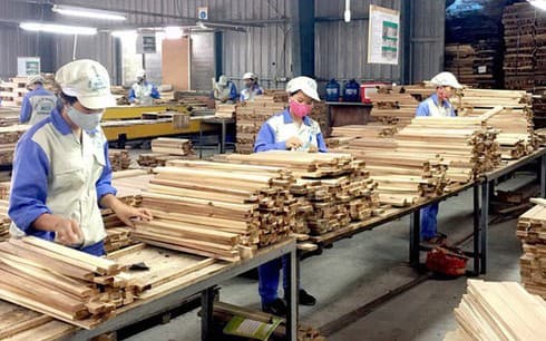 Forestry exports expected to beat US$11.3 billion during 2019
