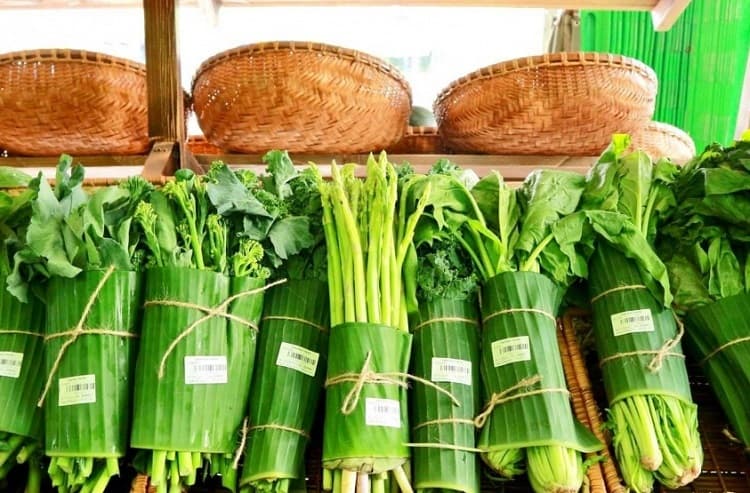 Vietnam breaks plastic stranglehold in 2019